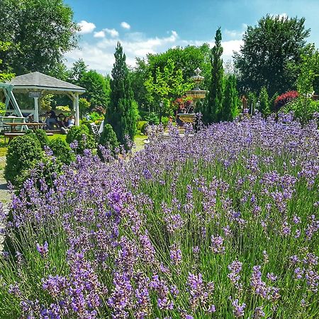 Forteca, Pokoje Goscinne Nad Stawem Dzierżoniów Exteriér fotografie