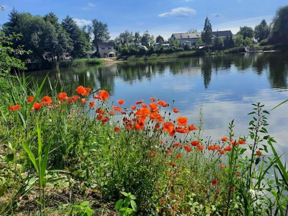 Forteca, Pokoje Goscinne Nad Stawem Dzierżoniów Exteriér fotografie