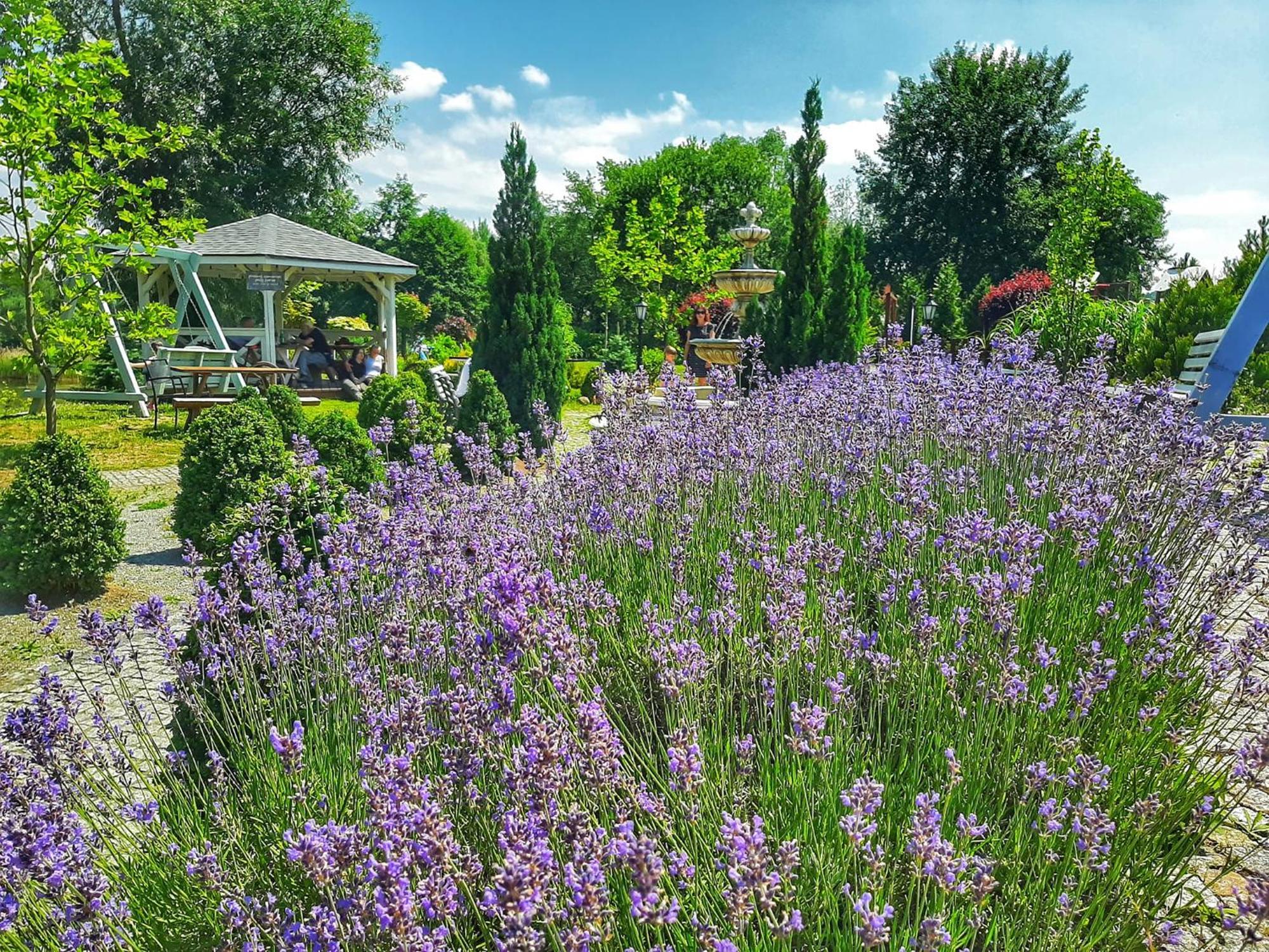 Forteca, Pokoje Goscinne Nad Stawem Dzierżoniów Exteriér fotografie